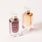 Vanilla Mini Duo (Vanilla | 28, Vanilla Candy)