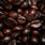 Oudgasm Café Oud | 19 Bakhoor