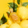 Vacay in a Bottle Capri in a Bottle Lemon Sugar | 14