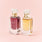 Vanilla musk Mini Duo Set