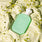 Pistachio Gelato Duo