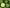 Bergamot