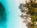 Footer Background Image